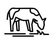 Icon zur Darstellung von Grünland